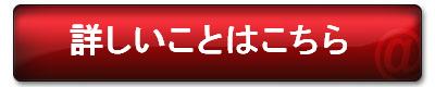 �ڍ�